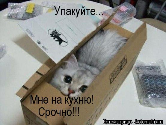 Котоматрица: Упакуйте... Мне на кухню! Срочно!!!