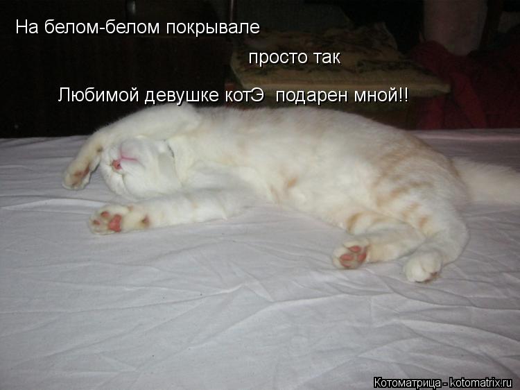 Котоматрица: На белом-белом покрывале  просто так  Любимой девушке котЭ  подарен мной!!