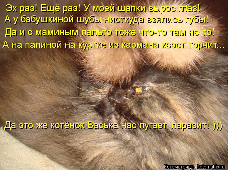 Эх раз! Ещё раз! У моей шапки вырос глаз! А у бабушкиной шубы ниоткуда взялись губы! Да и с маминым... Котоматрица: Эх раз! Ещё раз! У моей шапки вырос глаз! А у бабушкиной шубы ниоткуда взялись губы! Да и с маминым пальто тоже что-то там не то! А на папиной