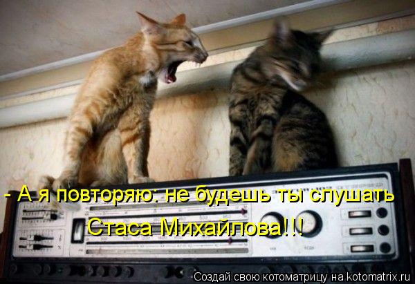 Котоматрица: - А я повторяю: не будешь ты слушать Стаса Михайлова!!!