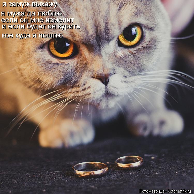 Котоматрица: я замуж выхажу я мужа да люблю если он мне изменит кое куда я пошлю  и если будет он курить