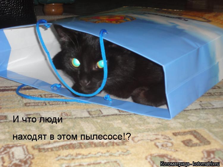 Котоматрица: И что люди  находят в этом пылесосе!?