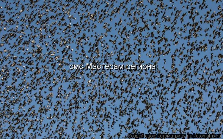 смс Мастерам региона... Котоматрица: смс Мастерам региона