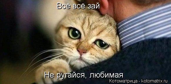 Котоматрица: Всё всё зай Не ругайся, любимая