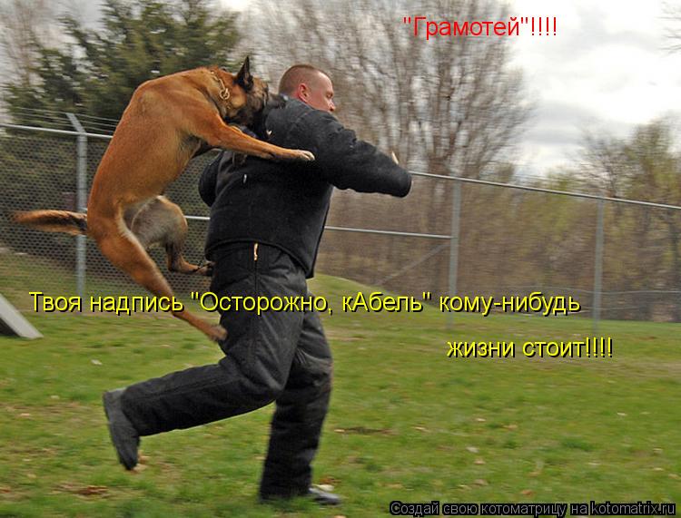 Котоматрица: "Грамотей"!!!! Твоя надпись "Осторожно, кАбель" кому-нибудь жизни стоит!!!!