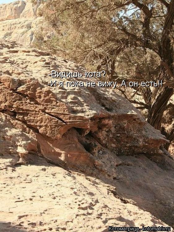 -Видишь кота? -И я пока не вижу..А он есть!!... Котоматрица: -Видишь кота? -И я пока не вижу..А он есть!!