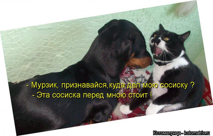 - Мурзик, признавайся,куда дел мою сосиску ? - Эта сосиска перед мною стоит ! - Эта сосиска перед мн... Котоматрица: - Мурзик, признавайся,куда дел мою сосиску ? - Эта сосиска перед мною стоит ! - Эта сосиска перед мною стоит !