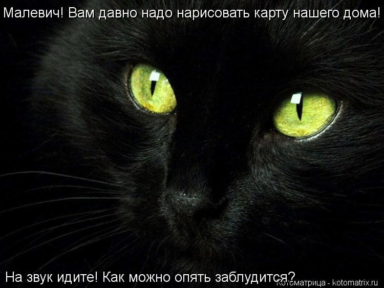 Котоматрица: Малевич! Вам давно надо нарисовать карту нашего дома! На звук идите! Как можно опять заблудится?