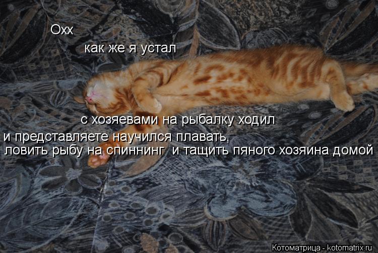 Котоматрица: Охх как же я устал  с хозяевами на рыбалку ходил   и представляете научился плавать, ловить рыбу на спиннинг  и тащить пяного хозяина домой