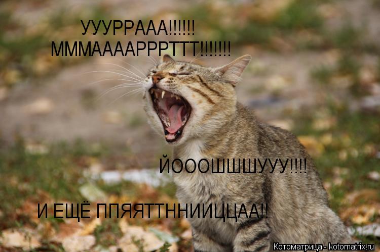 УУУРРААА!!!!!! МММААААРРРТТТ!!!!!!! ЙОООШШШУУУ!!!! И ЕЩЁ ППЯЯТТННИИЦЦАА!!... Котоматрица: УУУРРААА!!!!!! МММААААРРРТТТ!!!!!!! ЙОООШШШУУУ!!!! И ЕЩЁ ППЯЯТТННИИЦЦАА!!