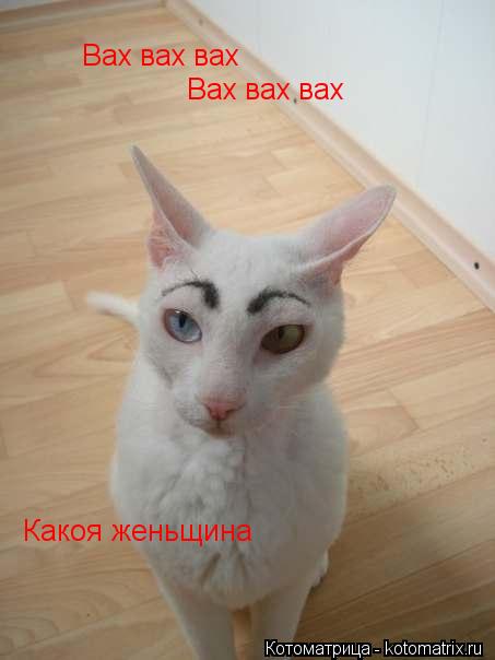 Котоматрица: Вах вах вах  Вах вах вах  Какоя женьщина Какоя женьщина
