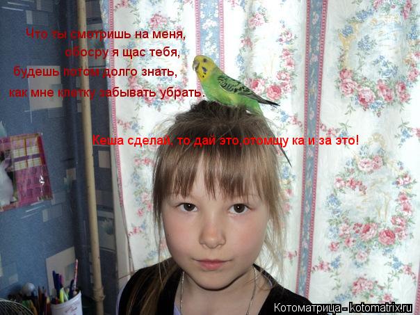 Котоматрица: Что ты смотришь на меня, обосру я щас тебя, будешь потом долго знать, как мне клетку забывать убрать. Кеша сделай, то дай это,отомщу ка и за эт