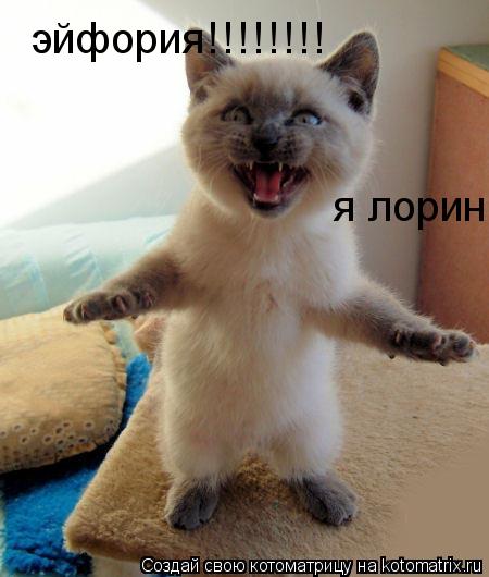 Котоматрица: эйфория!!!!!!!! я лорин