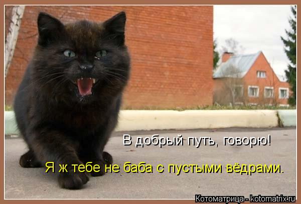 Котоматрица: В добрый путь, говорю! Я ж тебе не баба с пустыми вёдрами.