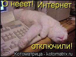 Котоматрица: Интернет отключили! О нееет!