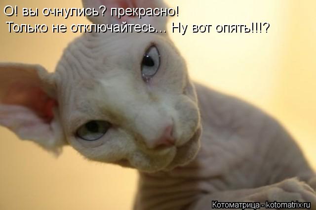 Котоматрица: О! вы очнулись? прекрасно! О! вы очнулись? прекрасно! Только не отключайтесь... Ну вот опять!!!? Только не отключайтесь... Ну вот опять!!!?