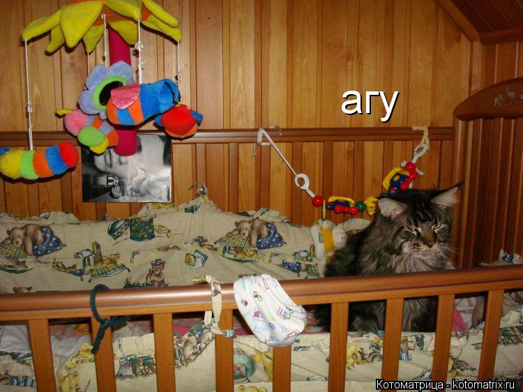 агу... Котоматрица: агу