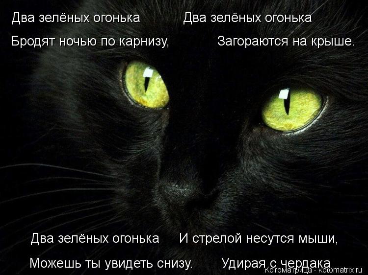 Котоматрица: Два зелёных огонька           Два зелёных огонька Бродят ночью по карнизу,            Загораются на крыше. Два зелёных огонька     И стрелой несутся м