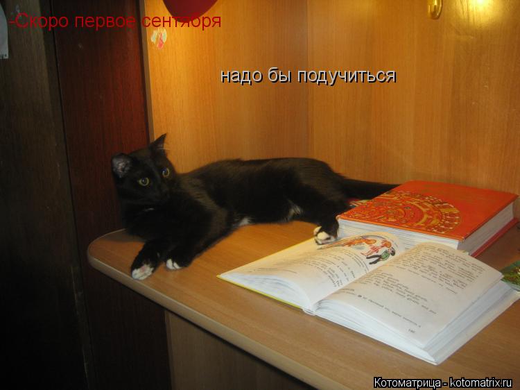 Котоматрица: -Скоро первое сентября надо бы подучиться