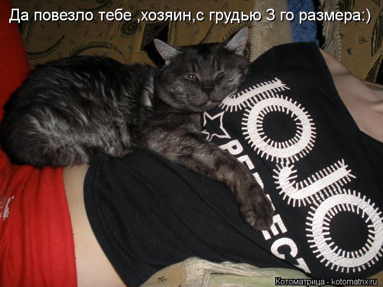 Котоматрица: Да повезло тебе ,хозяин,с грудью 3 го размера:)
