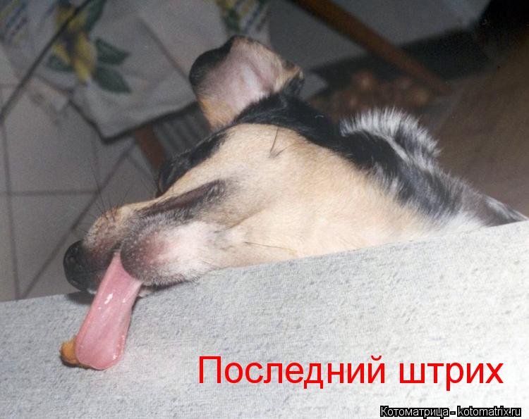 Котоматрица: Последний штрих