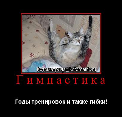 Котоматрица: Гимнастика Годы тренировок и также гибки!