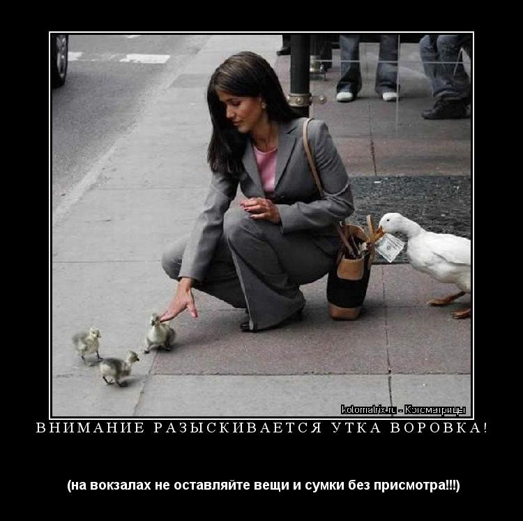 Котоматрица: ВНИМАНИЕ РАЗЫСКИВАЕТСЯ УТКА ВОРОВКА!  (на вокзалах не оставляйте вещи и сумки без присмотра!!!)