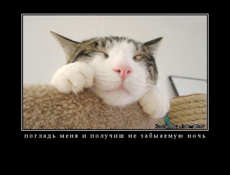 Котоматрица: погладь меня и получиш не забыаемую ночь 