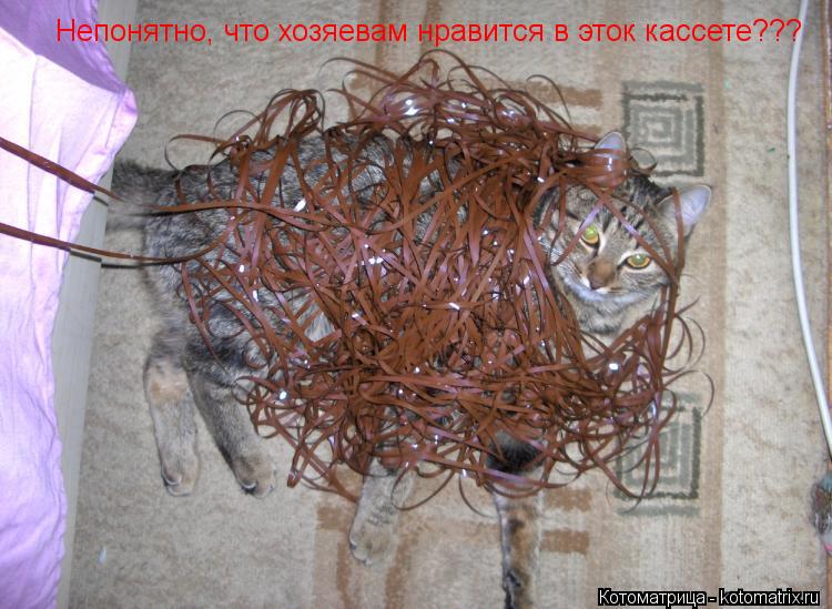 Котоматрица: Непонятно, что хозяевам нравится в эток кассете???