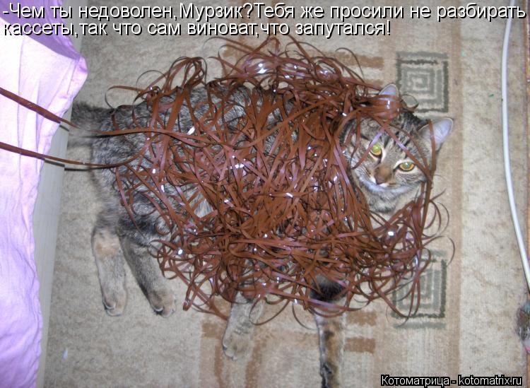 Котоматрица: -Чем ты недоволен,Мурзик?Тебя же просили не разбирать кассеты,так что сам виноват,что запутался!