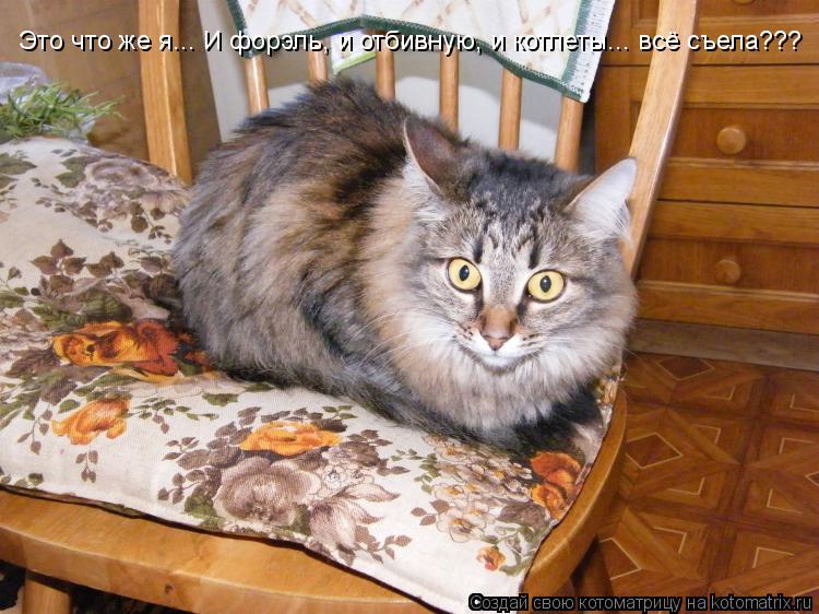 Котоматрица: Это что же я... И форэль, и отбивную, и котлеты... всё съела???