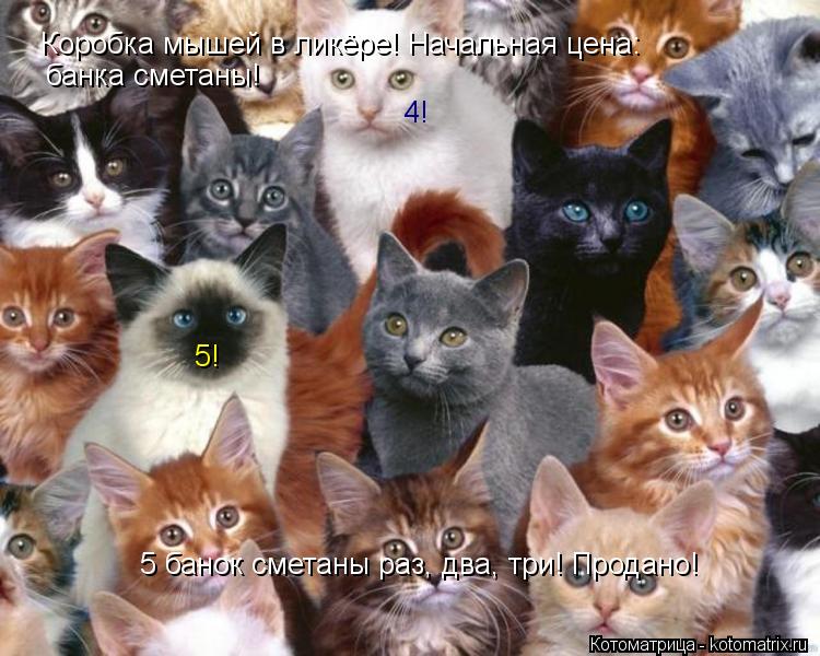 Котоматрица: Коробка мышей в ликёре! Начальная цена: банка сметаны! 4! 5! 5 банок сметаны раз, два, три! Продано!