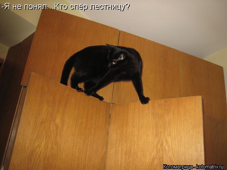 Котоматрица: -Я не понял...Кто спёр лестницу?