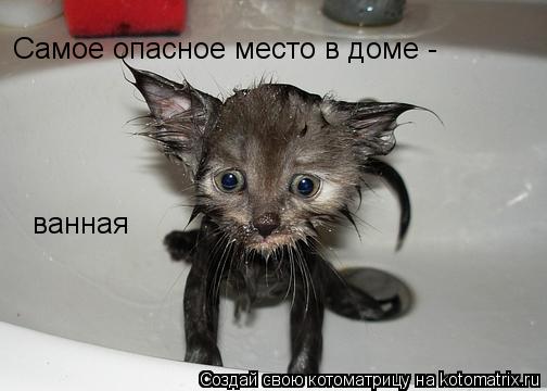 Котоматрица: Самое опасное место в доме - ванная