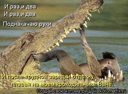 Котоматрица: И раз,и два И раз,и два Поднакачаю руки И после трудной зарядки отдохну, плавая на моем крокодильчике Ване...