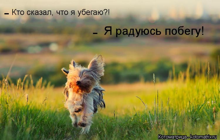 Котоматрица: Кто сказал, что я убегаю?! Я радуюсь побегу! - -