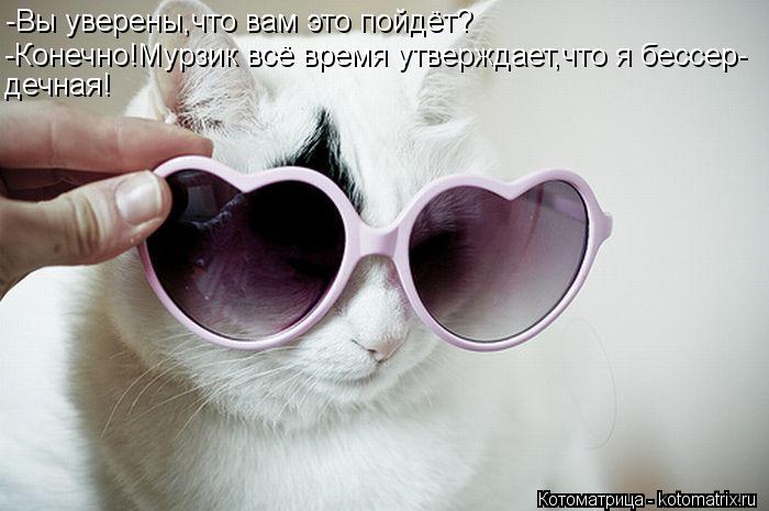 Котоматрица: -Вы уверены,что вам это пойдёт? -Конечно!Мурзик всё время утверждает,что я бессер- дечная!
