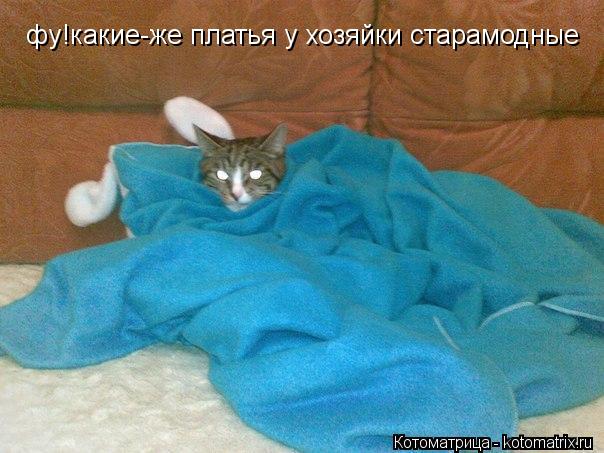 фу!какие-же платья у хозяйки старамодные фу!какие-же платья у хозяйки старамодные... Котоматрица: фу!какие-же платья у хозяйки старамодные фу!какие-же платья у хозяйки старамодные
