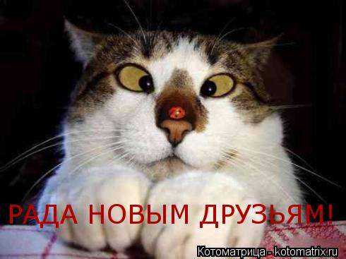 Котоматрица: РАДА НОВЫМ ДРУЗЬЯМ!