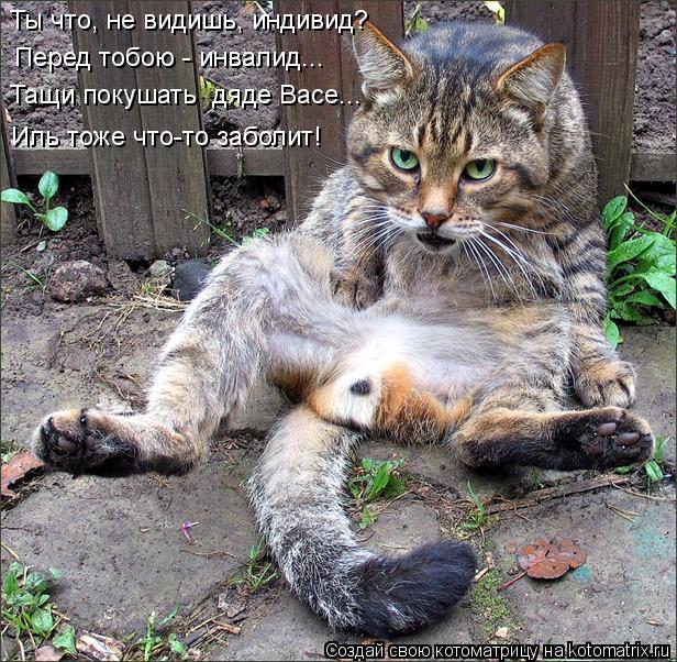 Ты что, не видишь, индивид? Перед тобою - инвалид... Тащи покушать дяде Васе... Иль тоже что-то забо... Котоматрица: Ты что, не видишь, индивид? Перед тобою - инвалид... Тащи покушать дяде Васе... Иль тоже что-то заболит!
