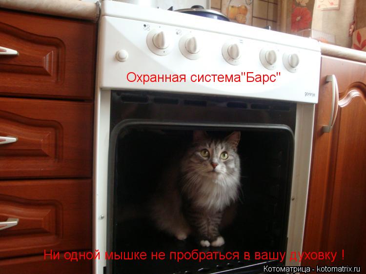 Охранная система"Барс" Ни одной мышке не пробраться в вашу духовку !... Котоматрица: Охранная система"Барс" Ни одной мышке не пробраться в вашу духовку !