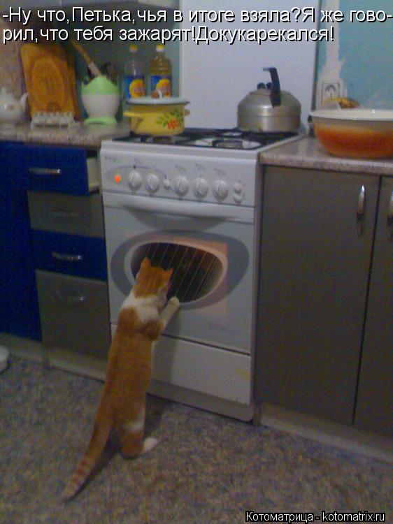 Котоматрица: -Ну что,Петька,чья в итоге взяла?Я же гово- рил,что тебя зажарят!Докукарекался!