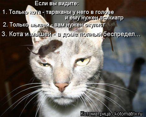Котоматрица: Если вы видите: 1. Только кота - тараканы у него в голове и ему нужен психиатр 2. Только мышей - вам нужен окулист 3. Кота и мышей - в доме полный б