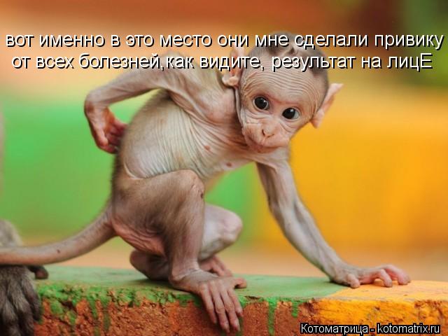 Котоматрица: вот именно в это место они мне сделали привику от всех болезней,как видите, результат на лицЕ  от всех болезней,как видите, результат на лицЕ