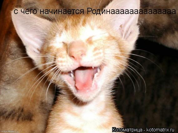 Котоматрица: с чего начинается Родинаааааааааааааа