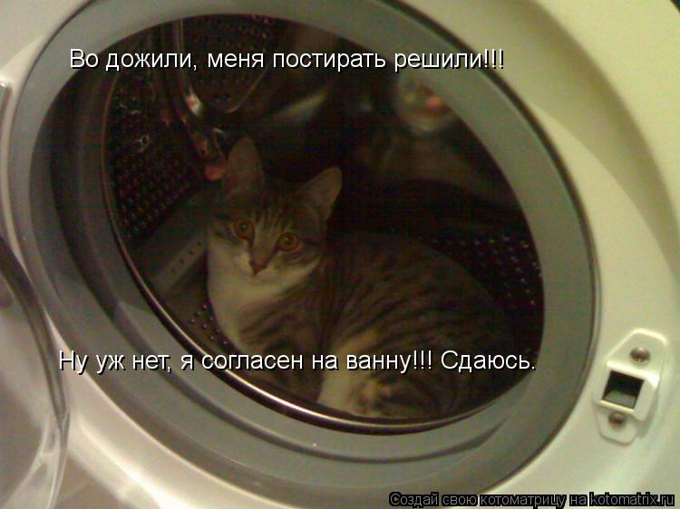 Во дожили, меня постирать решили!!! Ну уж нет, я согласен на ванну!!! Сдаюсь.... Котоматрица: Во дожили, меня постирать решили!!! Ну уж нет, я согласен на ванну!!! Сдаюсь.