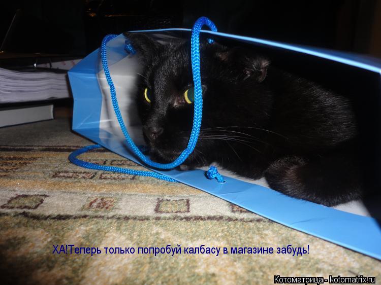 Котоматрица: ХА!Теперь только попробуй калбасу в магазине забудь!