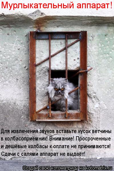Котоматрица: Для извлечения звуков вставьте кусок ветчины  в колбасоприёмник! Внимание! Просроченные  и дешёвые колбасы к оплате не принимаются!  Сдачи 