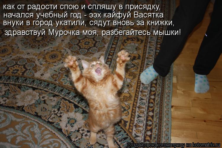 как от радости спою и спляшу в присядку, начался учебный год - ээх кайфуй Васятка здравствуй Мурочка ... Котоматрица: как от радости спою и спляшу в присядку, начался учебный год - ээх кайфуй Васятка здравствуй Мурочка моя, разбегайтесь мышки! внуки в город у