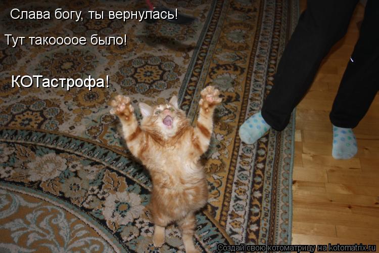 Котоматрица: Слава богу, ты вернулась! Тут такоооое было! КОТастрофа!